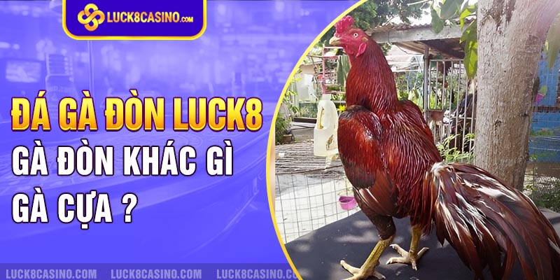 Đá gà đòn khác gì với gà cựa