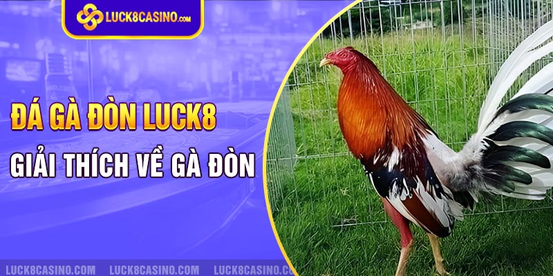 Giải thích về đá gà đòn tại LUCK8