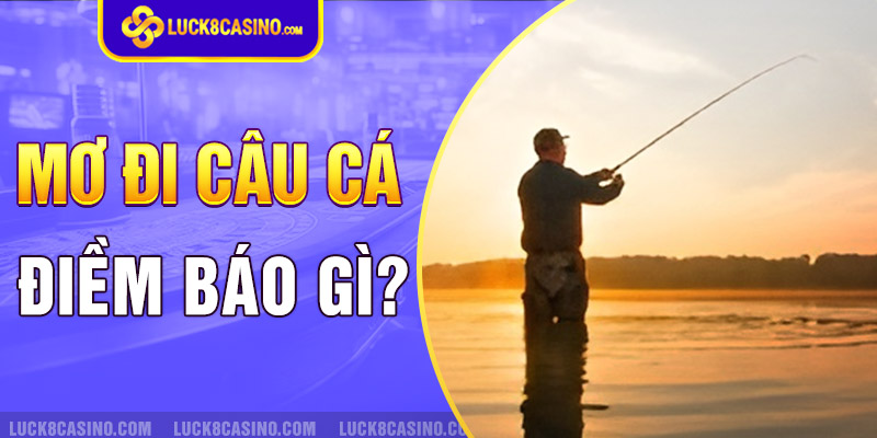 Nằm mơ câu cá đánh đề con gì và có điềm báo gi?