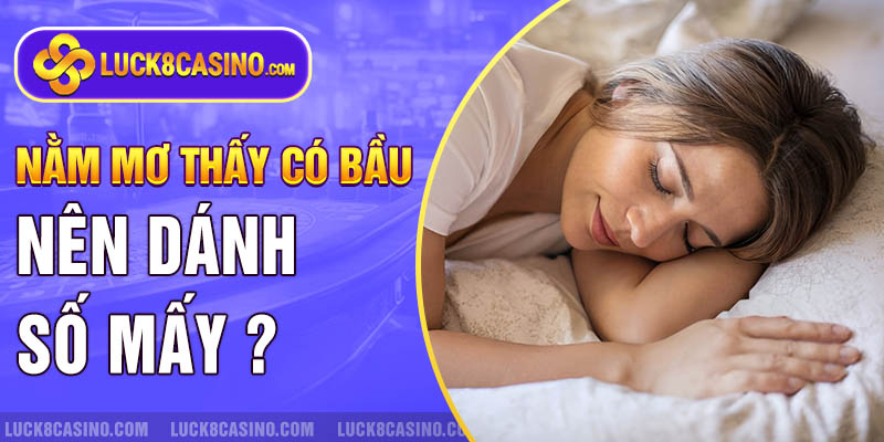 Nằm mơ thấy có bầu nên đánh số nào ?