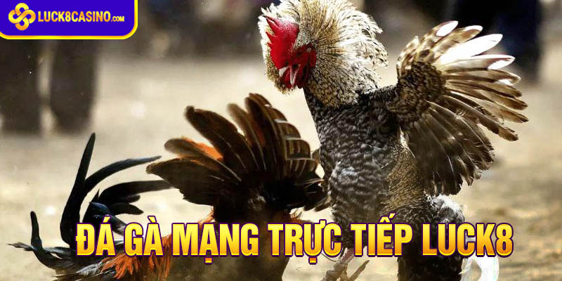 Hình thức đá gà mạng trực tiếp